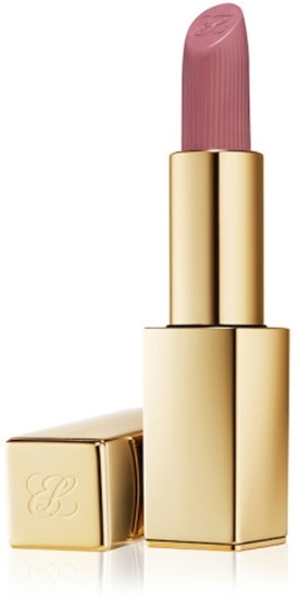 ESTEE LAUDER PURE COLOR LIPSTICK 816 SUIT UP